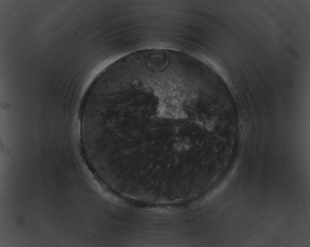 X0000090861125200708030942