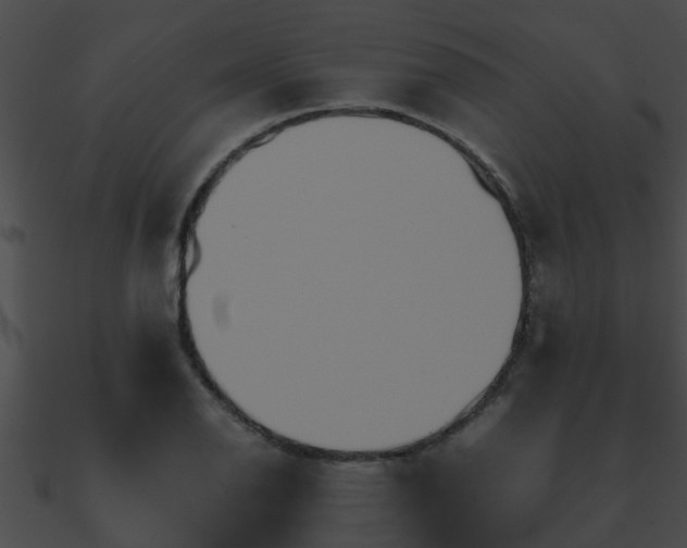 X0000090861126200708030942