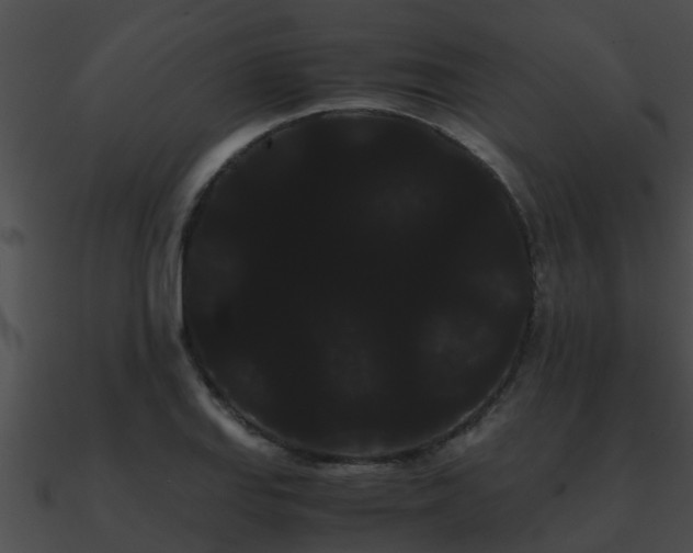 X0000090861127200708030942