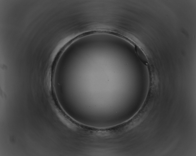 X0000090861128200708030942