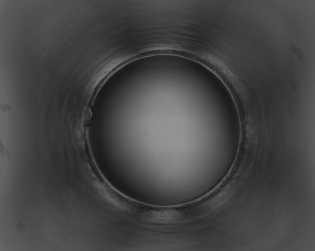 X0000090861129200708030942