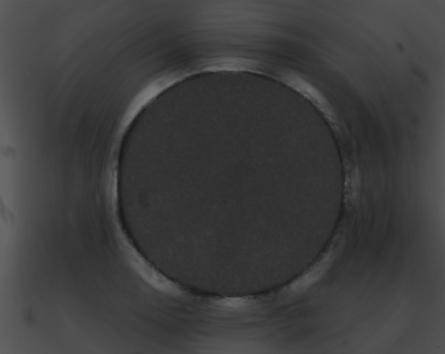 X0000090861130200708030942