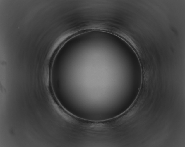 X0000090861131200708030942