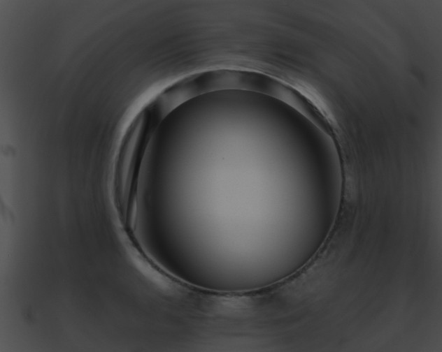 X0000090861136200708030942