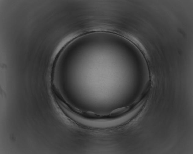 X0000090861138200708030942