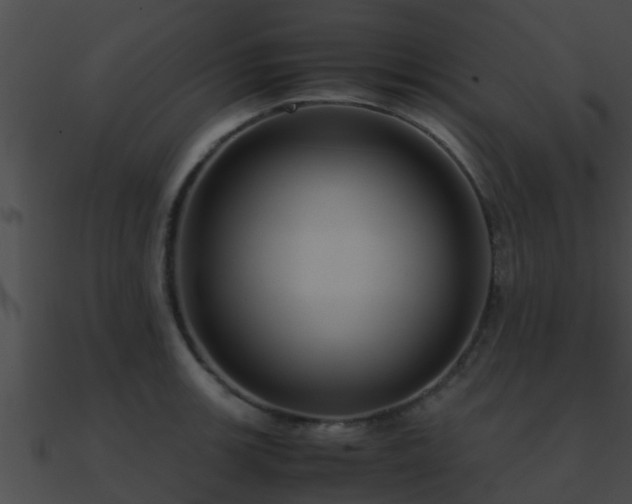 X0000090861139200708030942