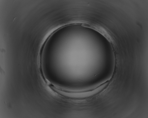 X0000090861140200708030942