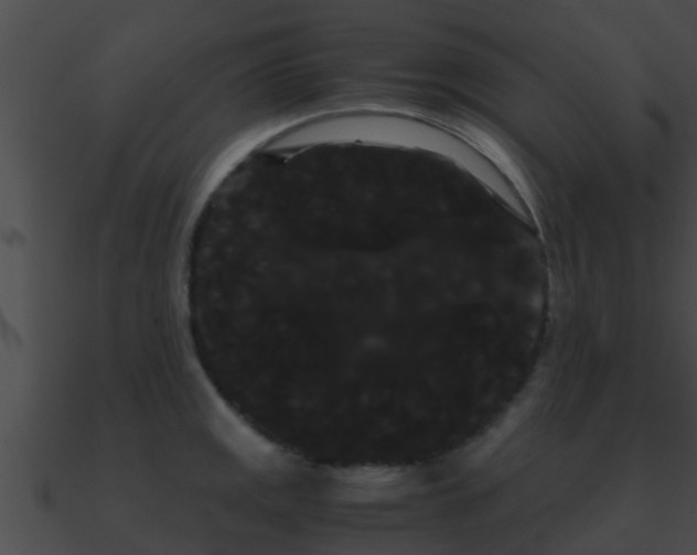 X0000090861141200708030942
