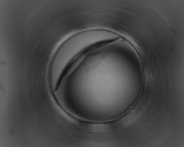 X0000090861142200708030942