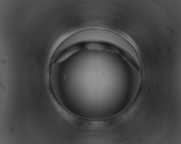 X0000090861144200708030942