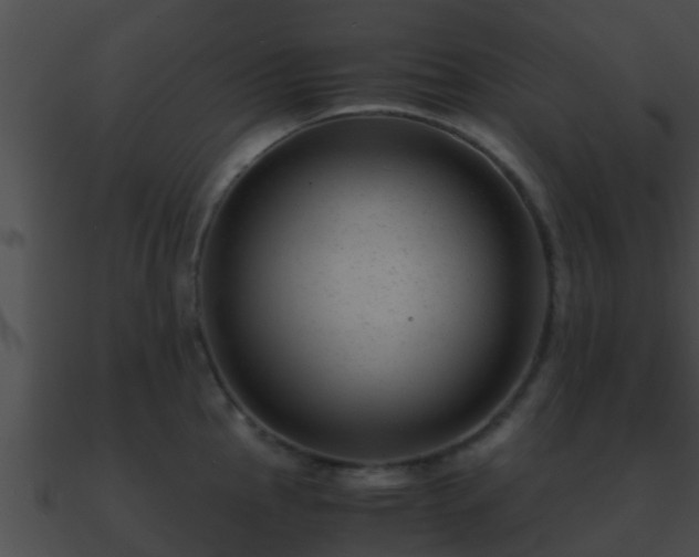 X0000090861145200708030942