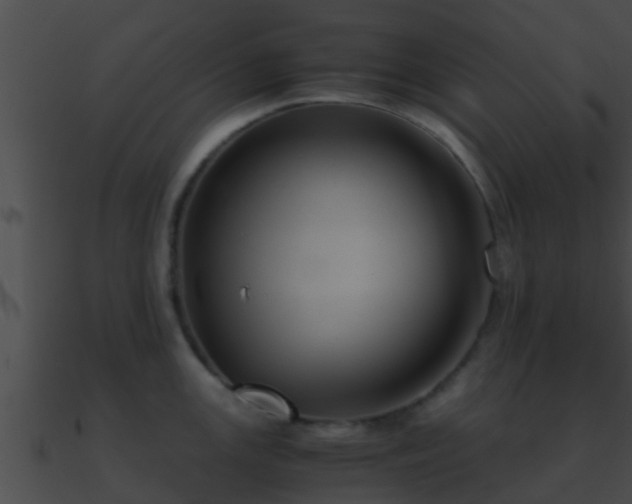 X0000090861147200708030942