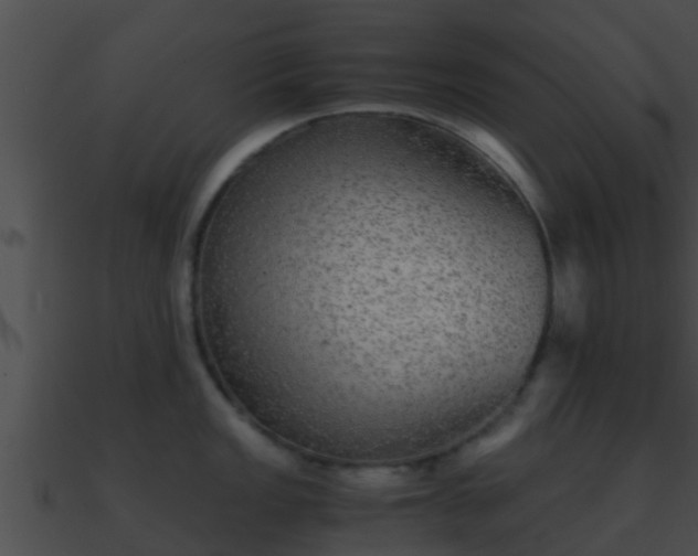 X0000090861149200708030942