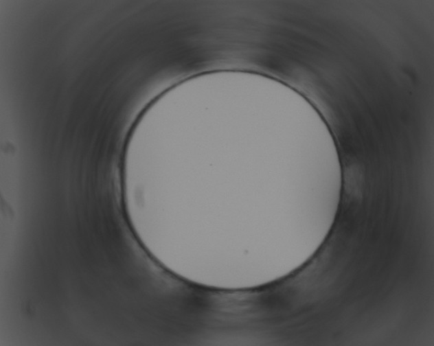 X0000090861150200708030942