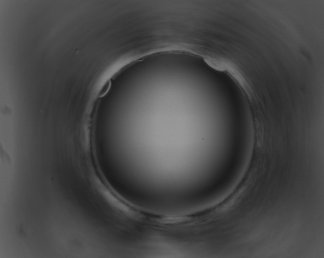 X0000090861151200708030942