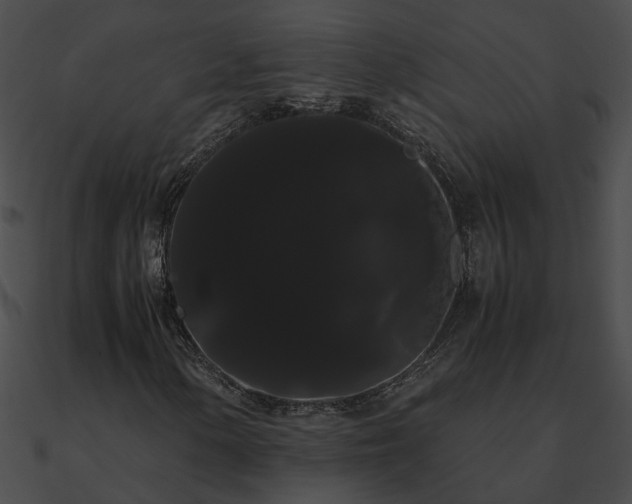 X0000090861154200708030942