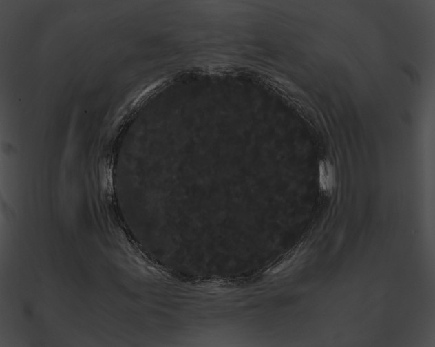 X0000090861155200708030942