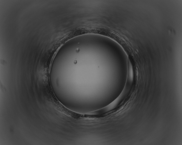 X0000090861156200708030942