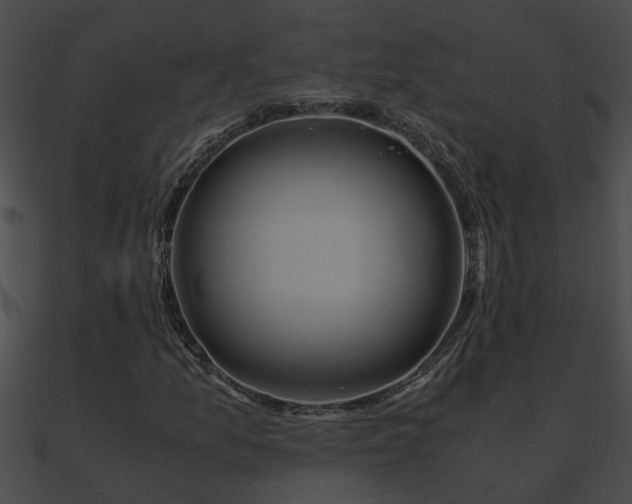 X0000090861157200708030942