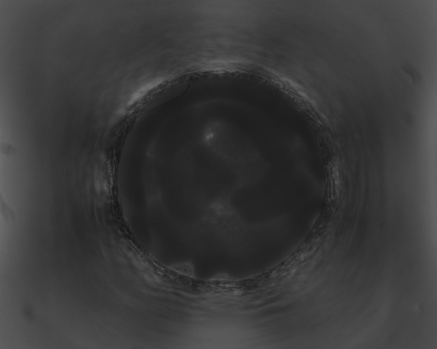 X0000090861158200708030941
