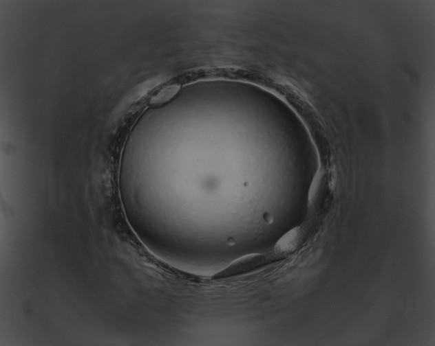 X0000090861159200708030941