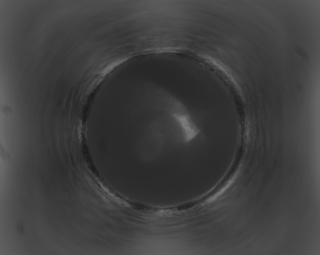 X0000090861161200708030941