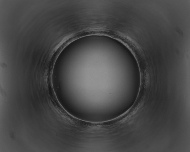 X0000090861162200708030941