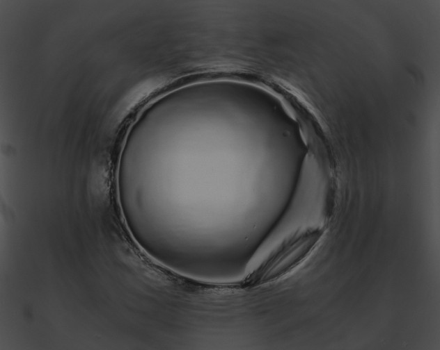 X0000090861163200708030941