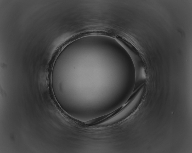 X0000090861164200708030941