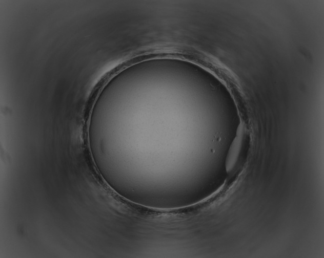 X0000090861166200708030941