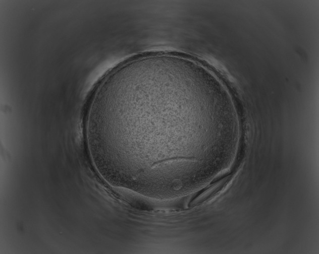 X0000090861167200708030941