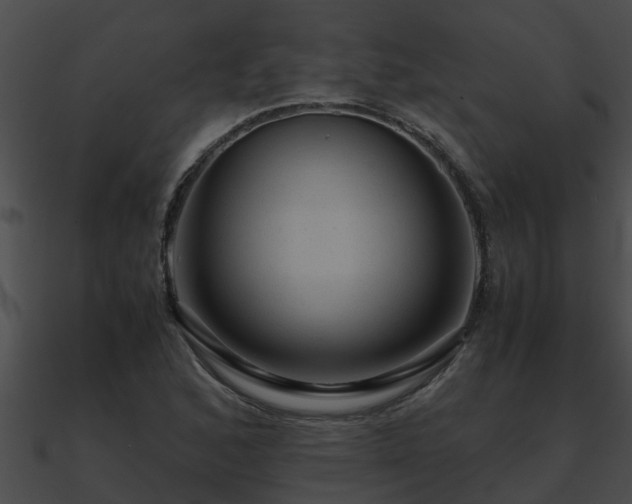 X0000090861168200708030941