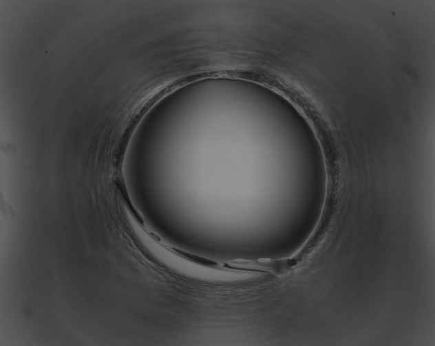 X0000090861169200708030941
