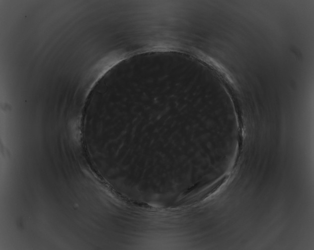 X0000090861170200708030941