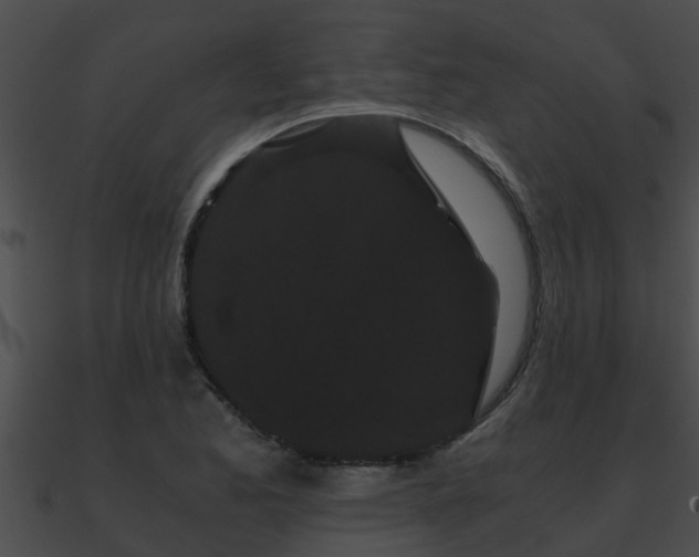 X0000090861173200708030941