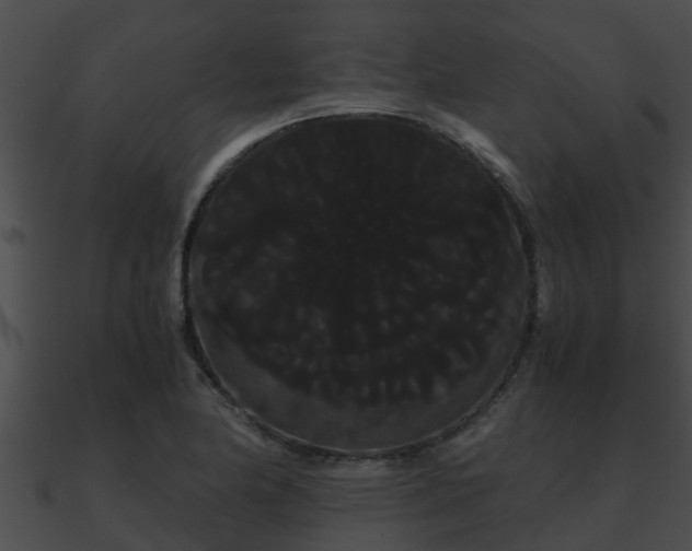 X0000090861174200708030941