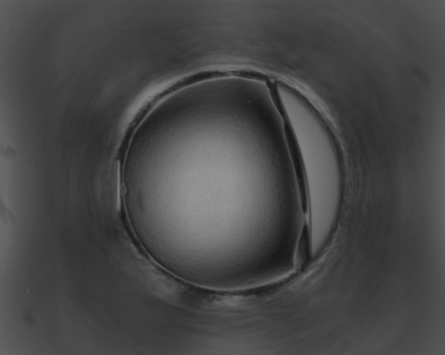 X0000090861175200708030941