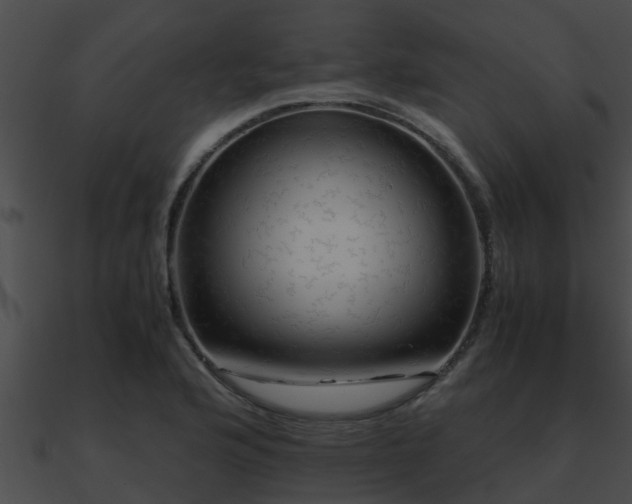 X0000090861176200708030941