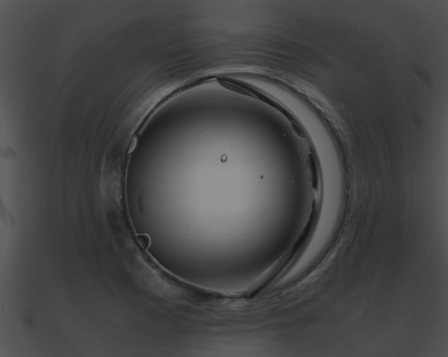 X0000090861177200708030941