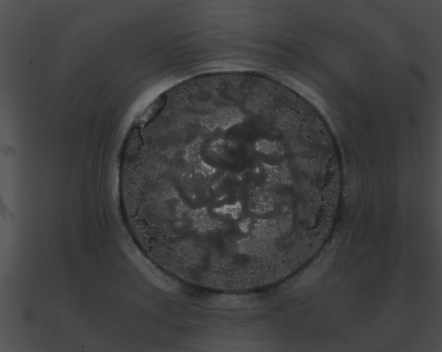 X0000090861179200708030941