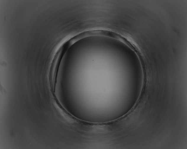 X0000090861181200708030941