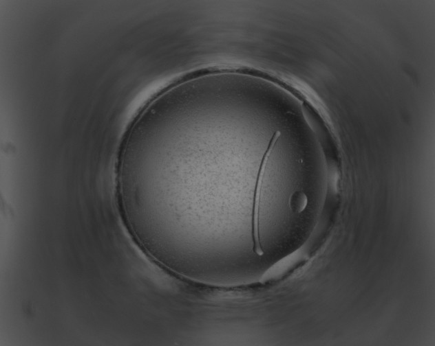 X0000090861183200708030941
