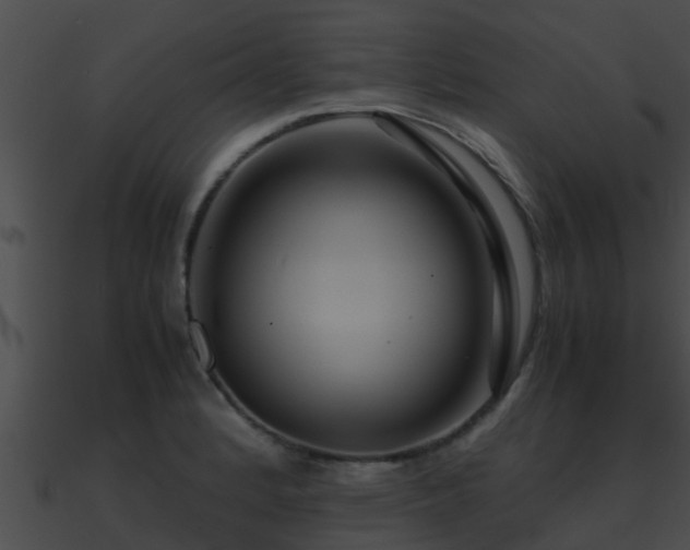 X0000090861184200708030941
