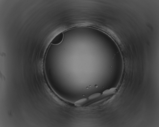 X0000090861186200708030941