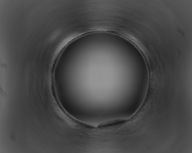 X0000090861187200708030941
