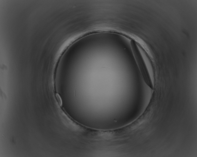 X0000090861191200708030941