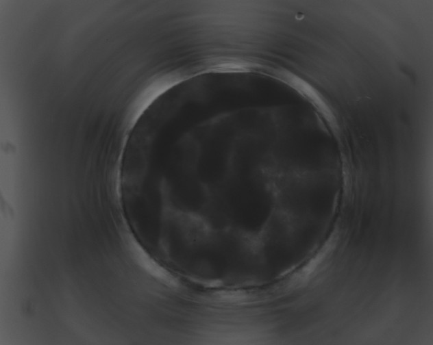 X0000090861194200708030941