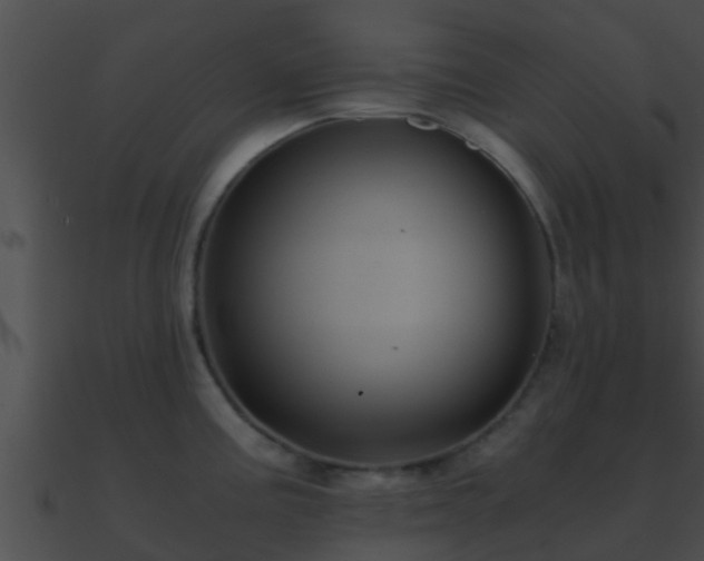 X0000090861195200708030941