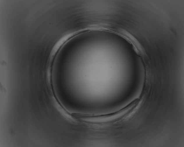X0000090861196200708030941