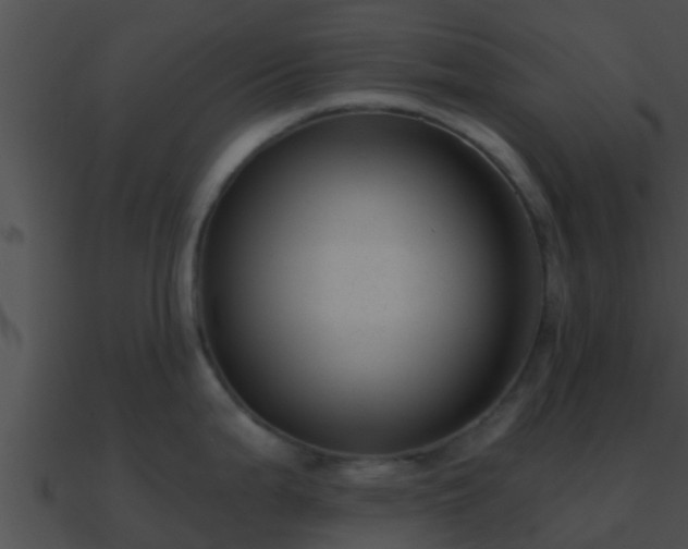 X0000090861199200708030941